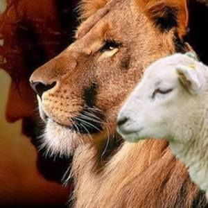 Meet your Posher, Samuel